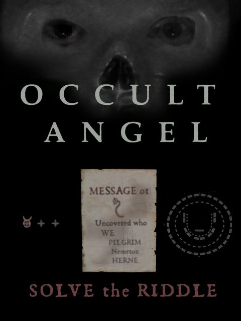 Occult Angel 2018 HDRip XviD AC3-EVO