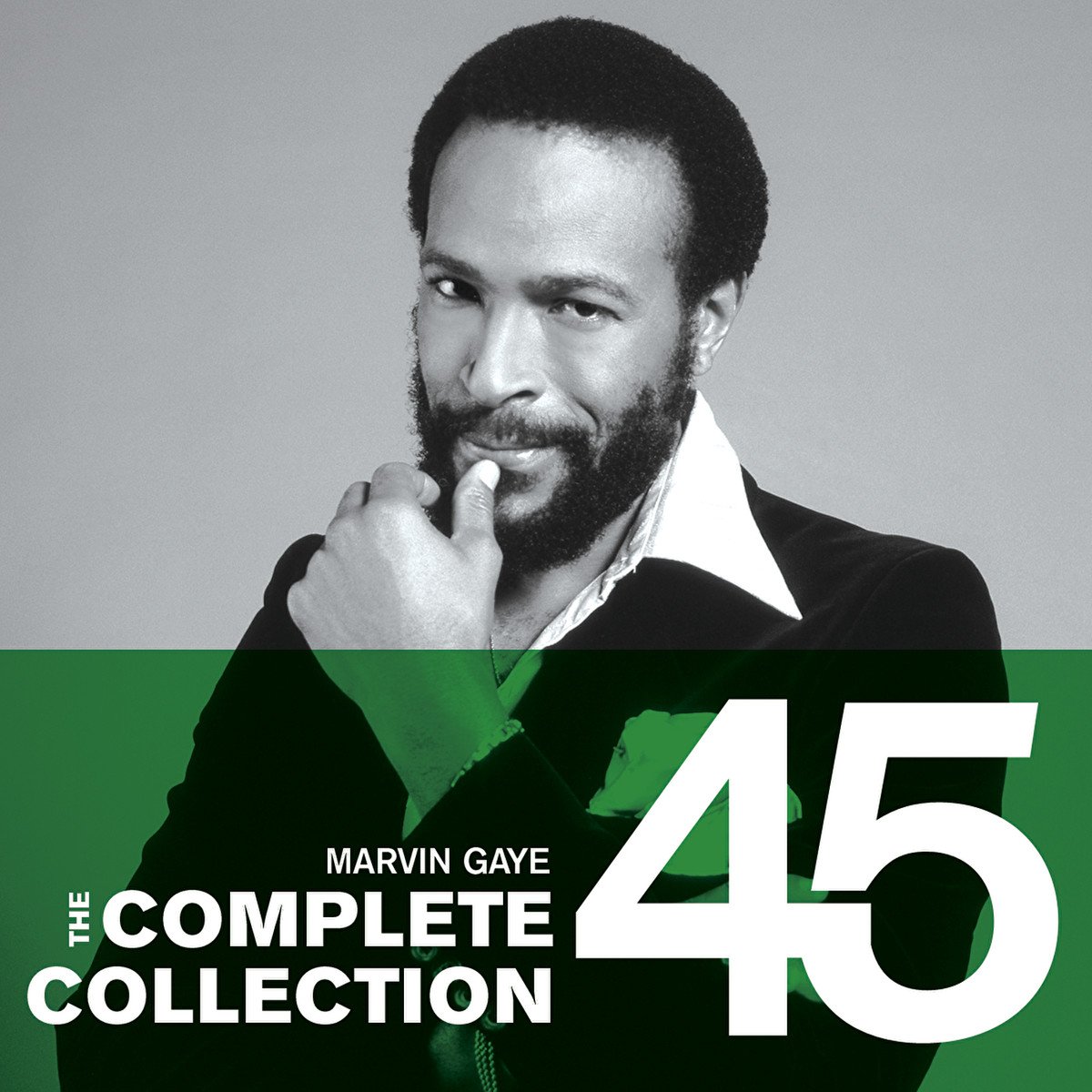 Marvin Gaye The Complete Collection 2008 Mp3 SoftArchive