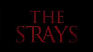 The Strays
