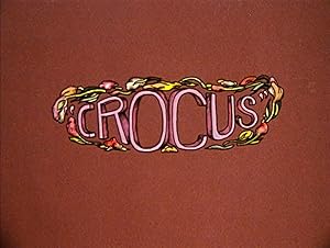 Crocus