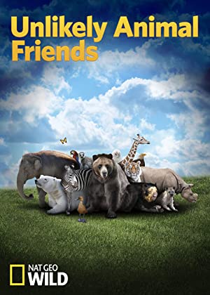 Unlikely Animal Friends