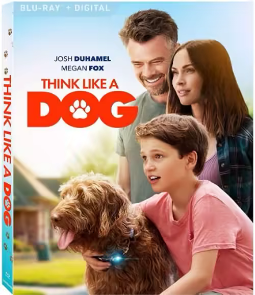 Dogs Best Friend