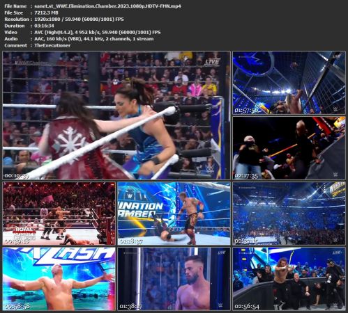 WWE Elimination Chamber
