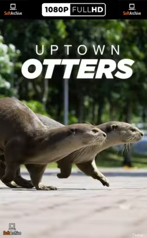 Uptown Otters