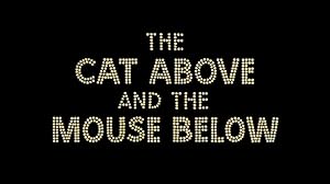 The Cat Above and the Mouse Below