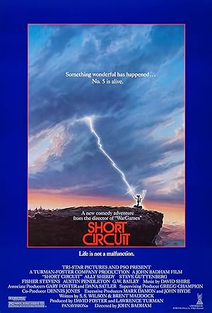 Short Circuit