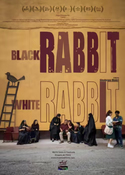 Black Rabbit, White Rabbit