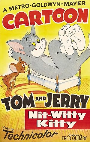 Nit-Witty Kitty