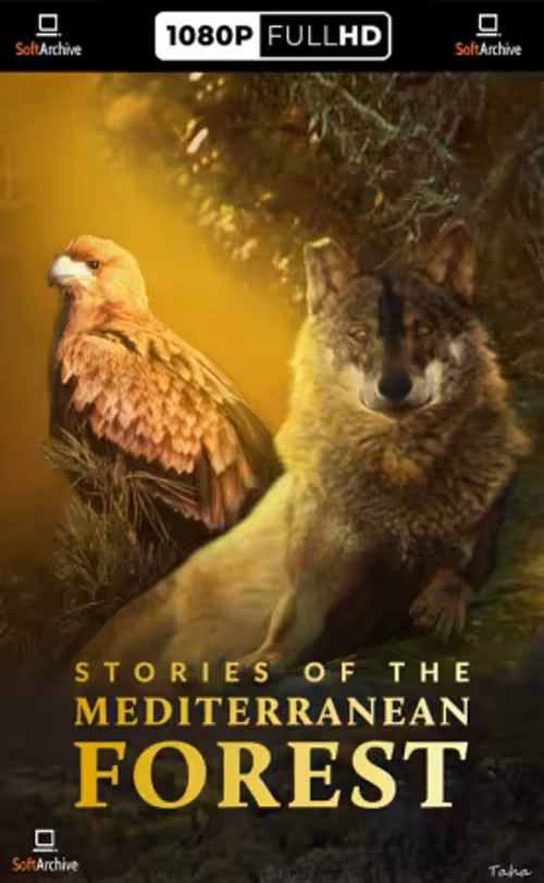Stories of the Mediterranean Forest
