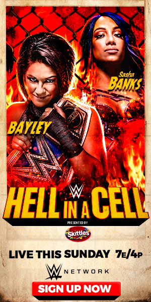 WWE Hell in a Cell