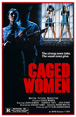 Violence in a Women's Prison