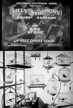 The Bird Store