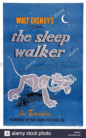 The Sleep Walker