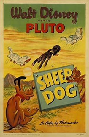 Sheep Dog
