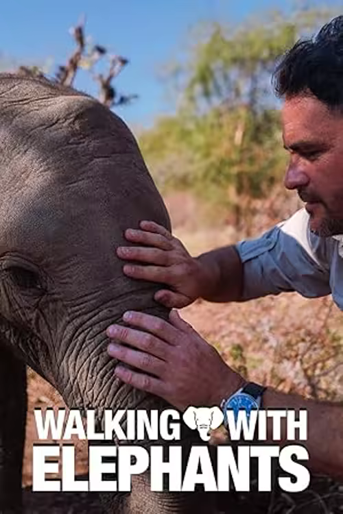 Walking with Elephants