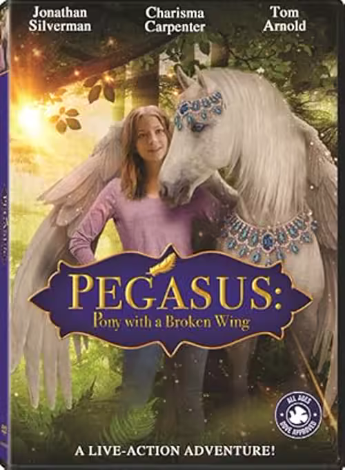 Pony with a Broken Wing