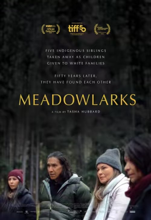 Meadowlarks