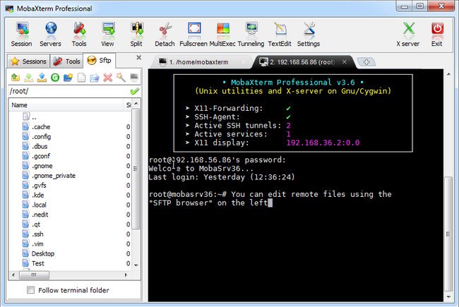 MobaXterm Professional 23.2 for windows instal free