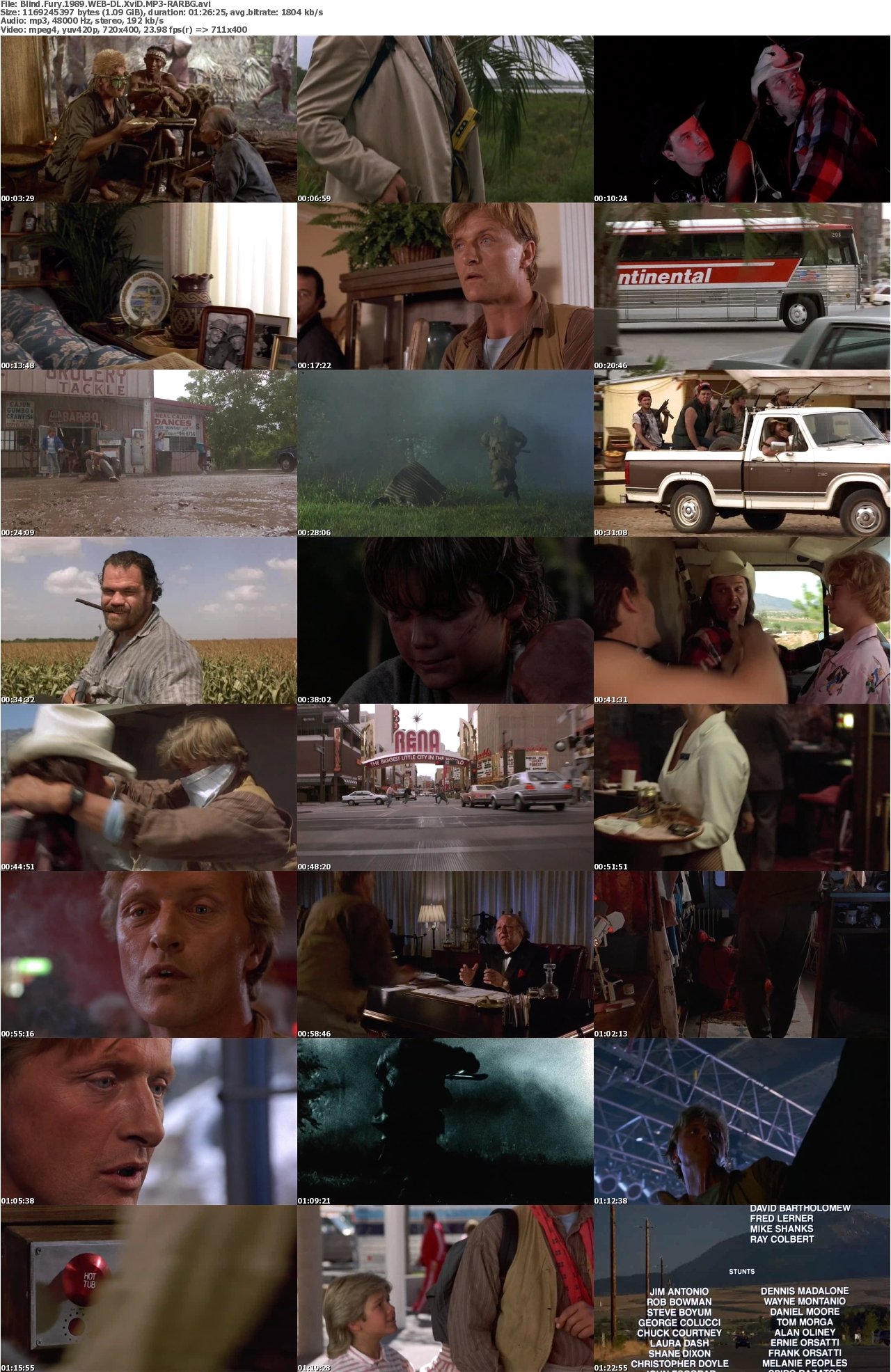 Blind Fury 1989 WEB-DL XviD MP3-RARBG