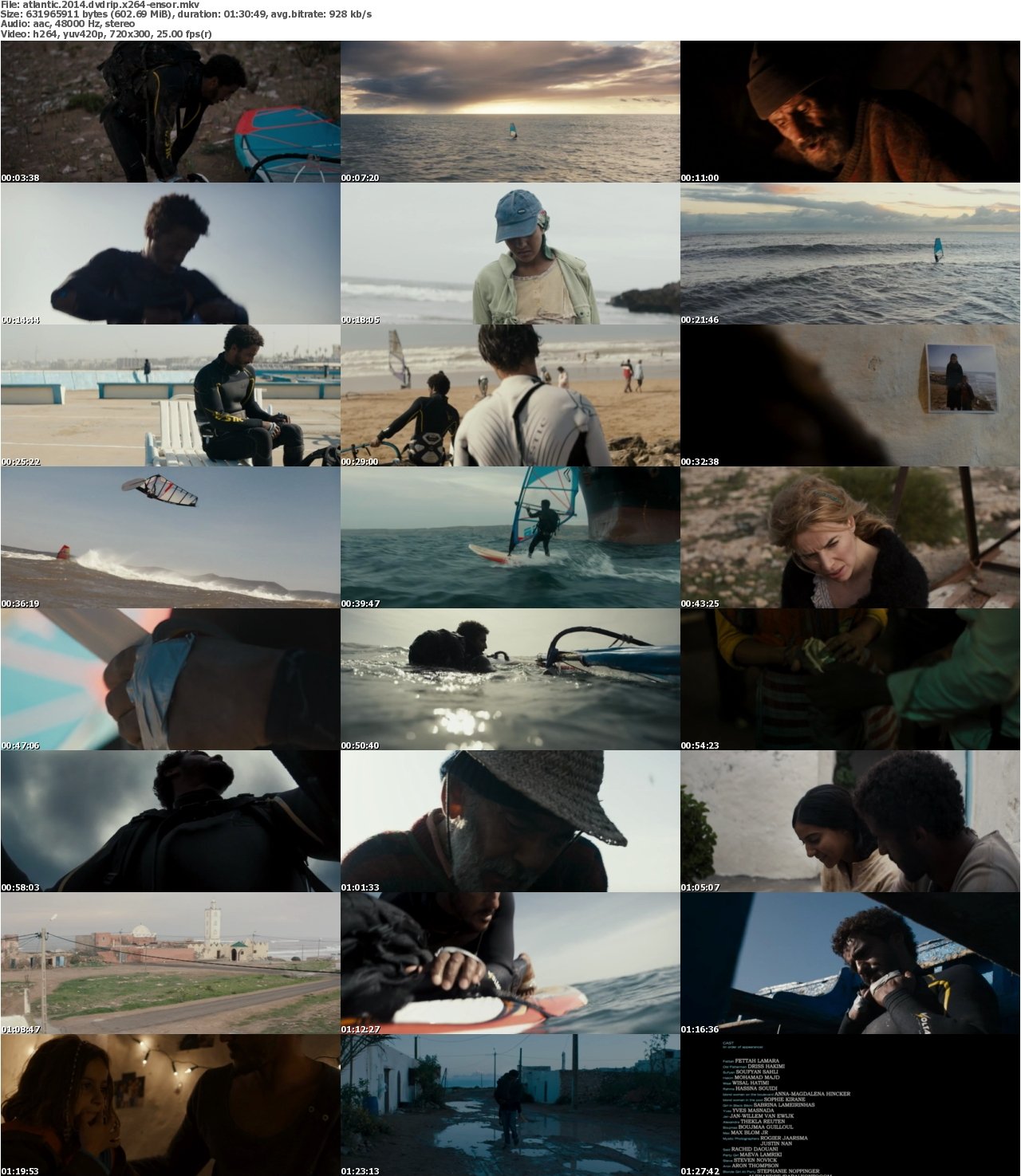 Atlantic 2014 DVDRip x264-ENSOR