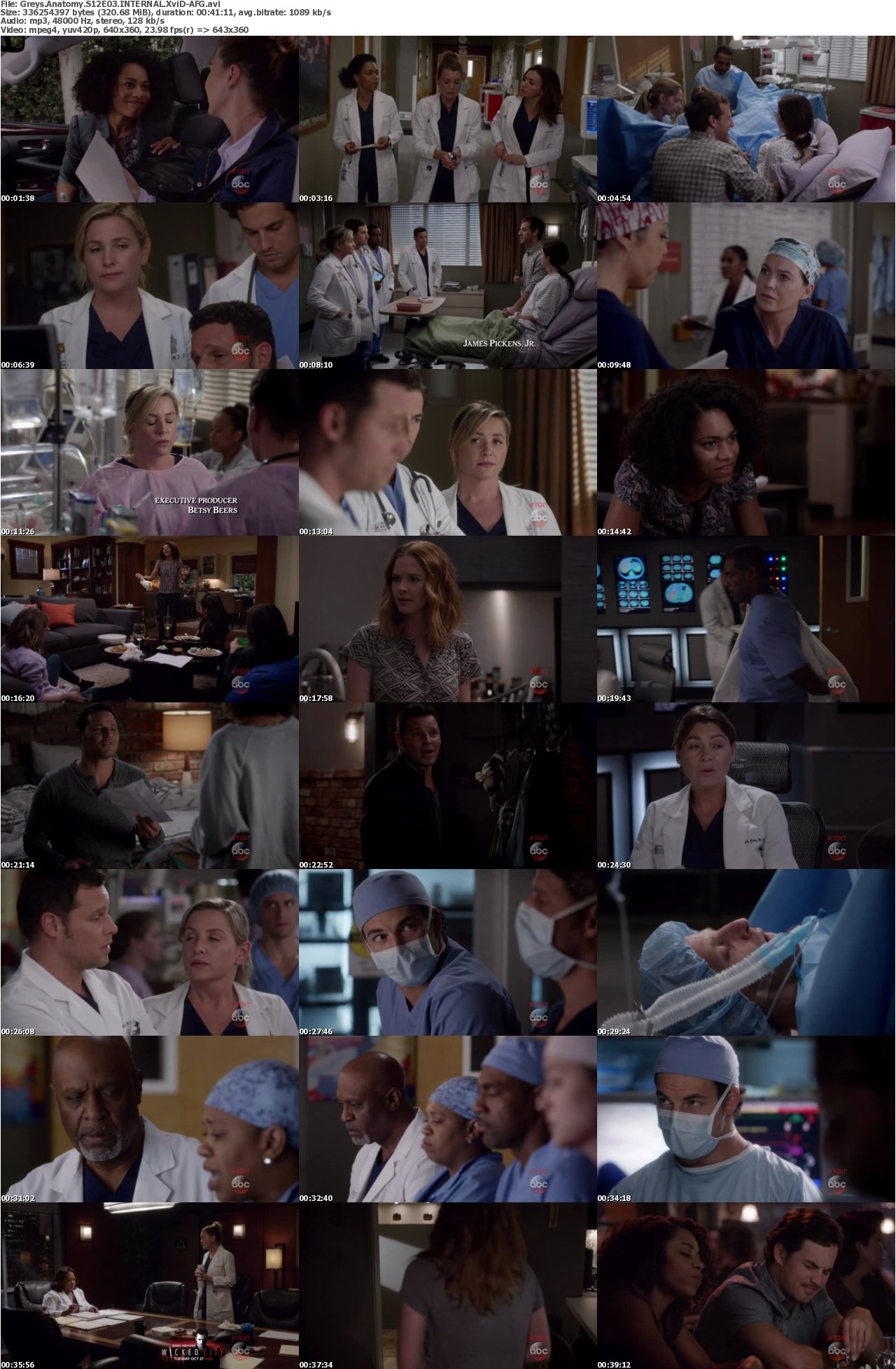 Greys Anatomy S12E03 INTERNAL XviD-AFG