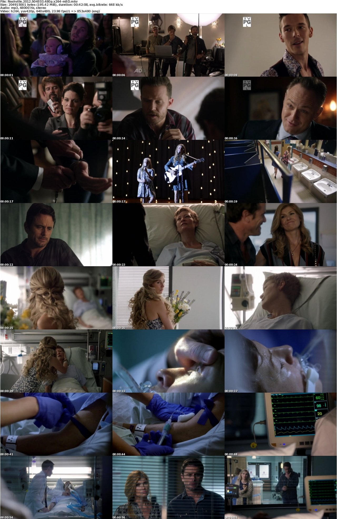 Nashville 2012 S04E03 480p x264-mSD
