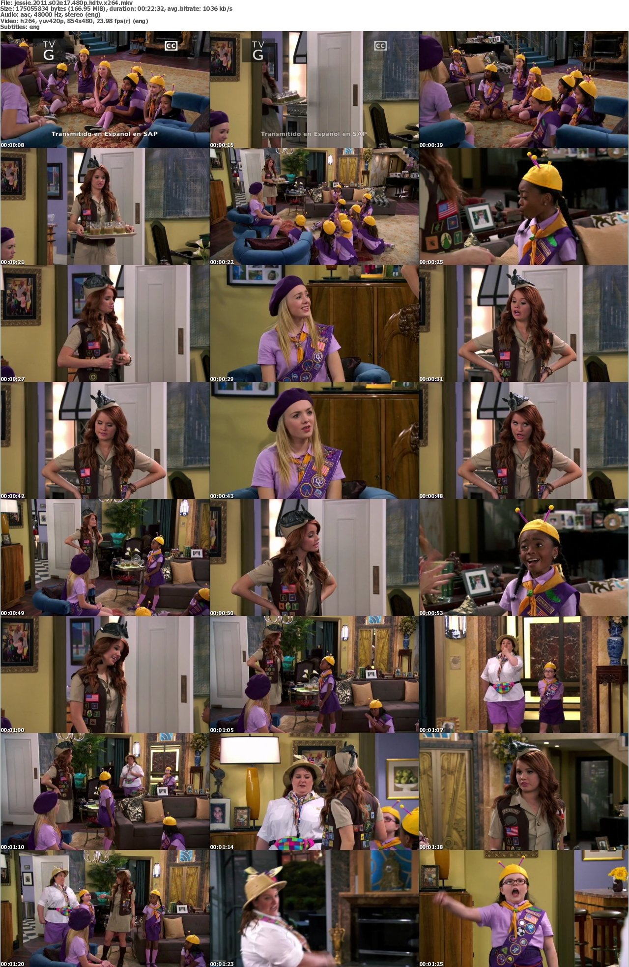Jessie 2011 S02E17 480p HDTV x264