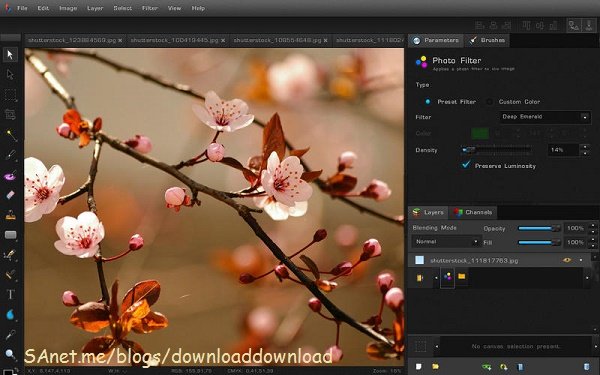 Bloom v1.0.57 (Win/Mac/Linux)