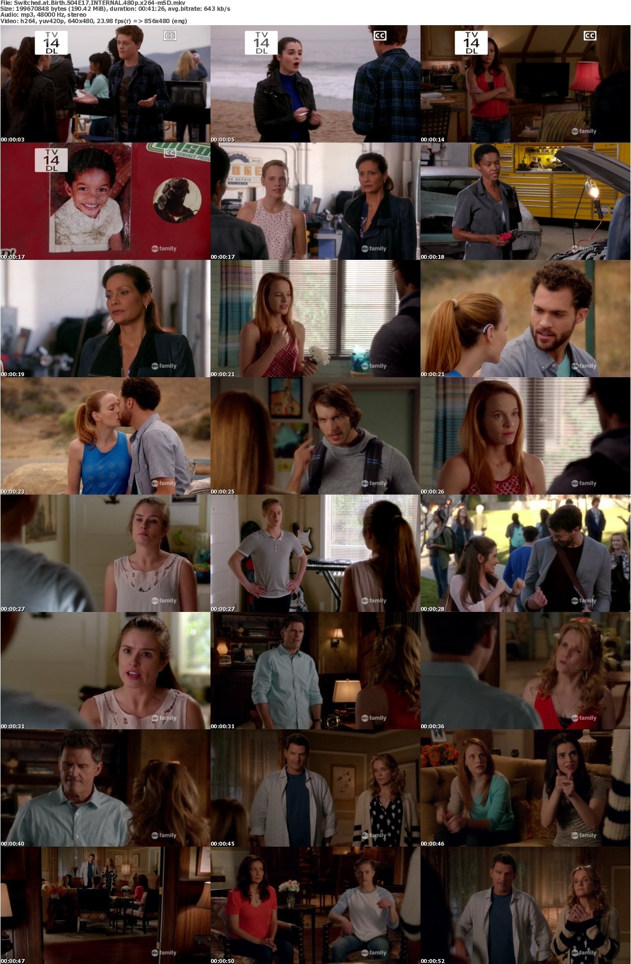 Switched at Birth S04E17 INTERNAL 480p x264-mSD