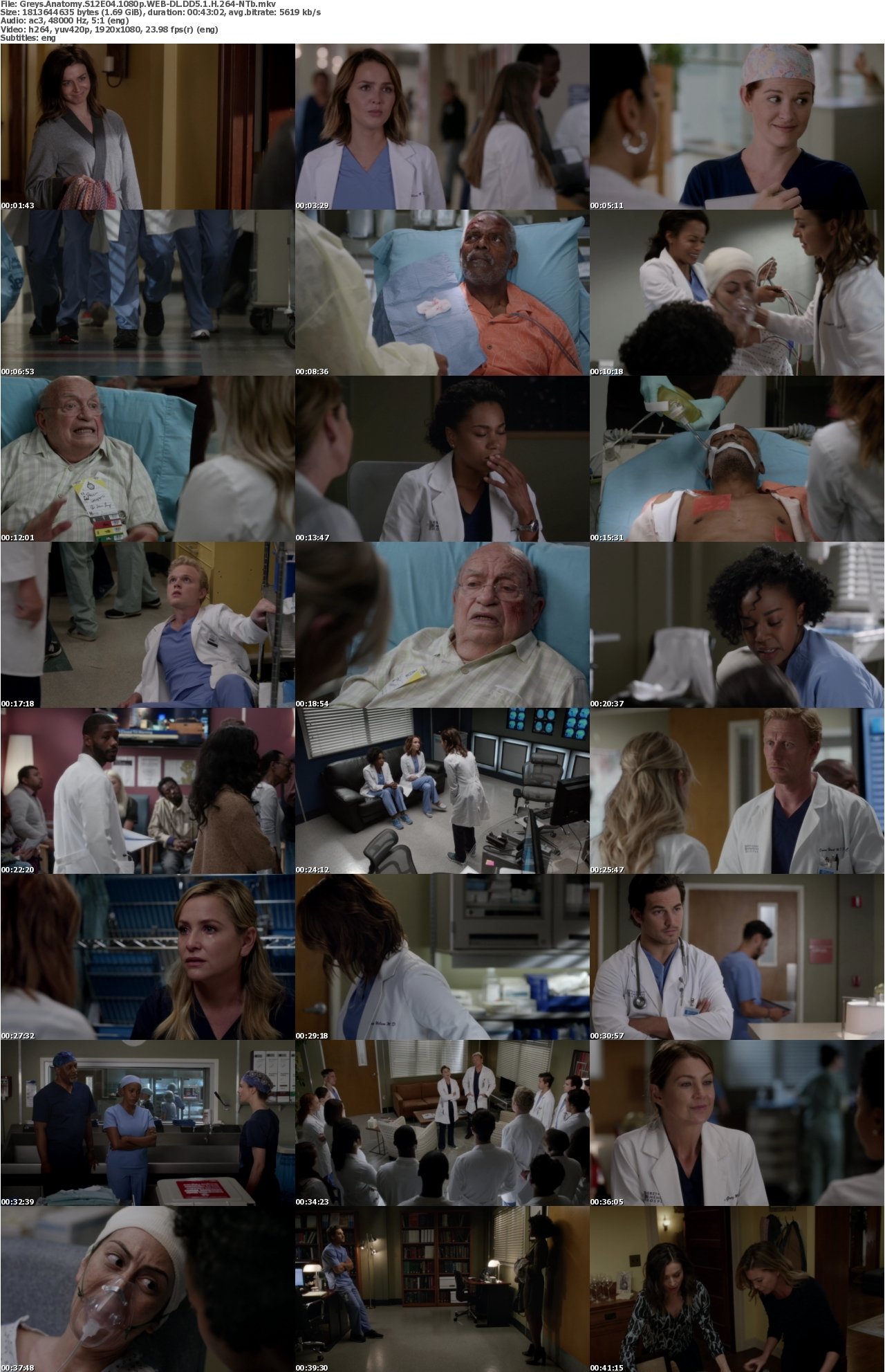 Greys Anatomy S12E04 1080p WEB-DL DD5 1 H 264-NTb