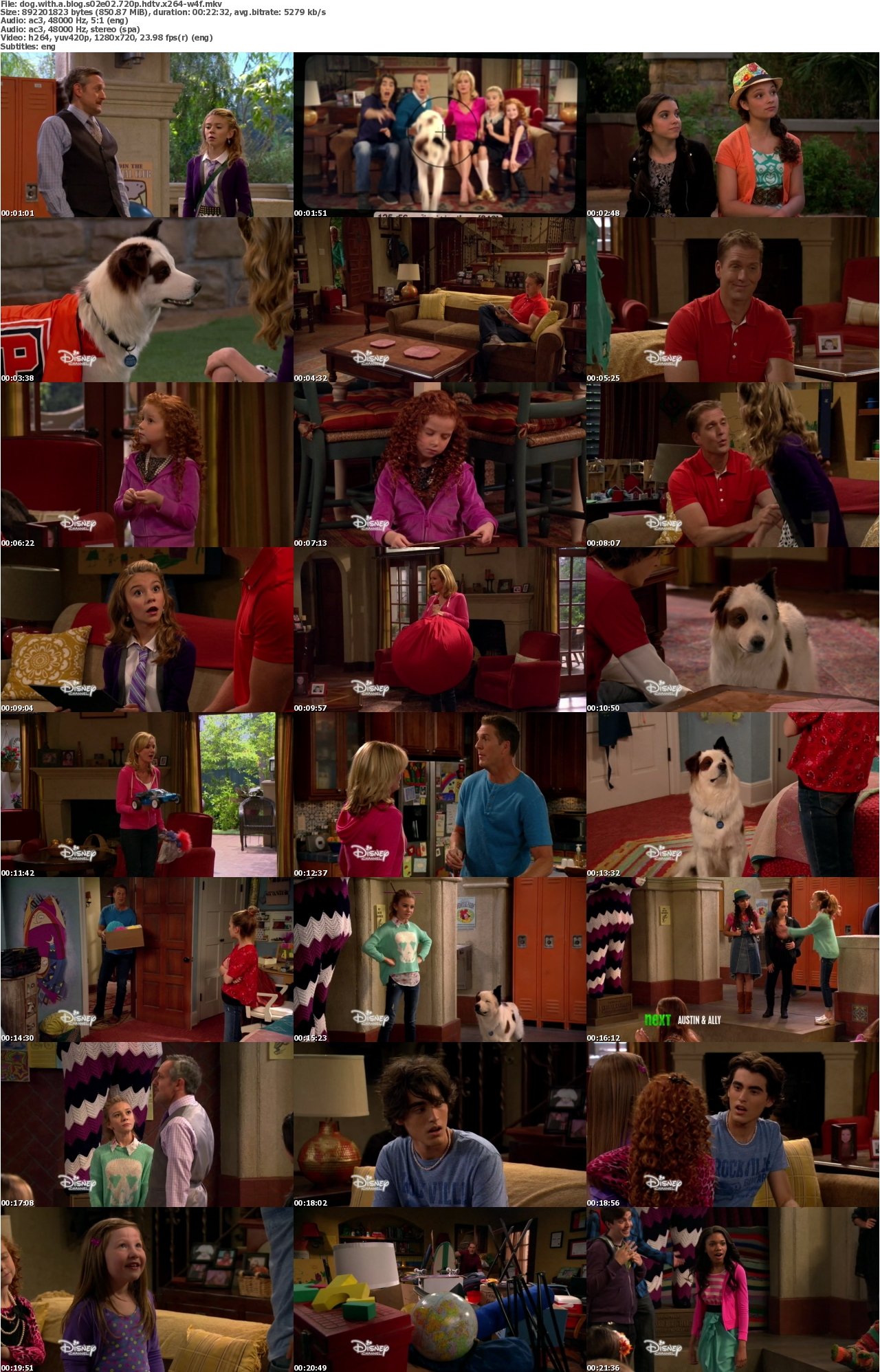 Dog With a Blog S02E02 720p HDTV x264-W4F