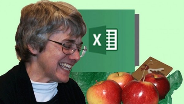 The Beginning Guide to Microsoft Excel 2013