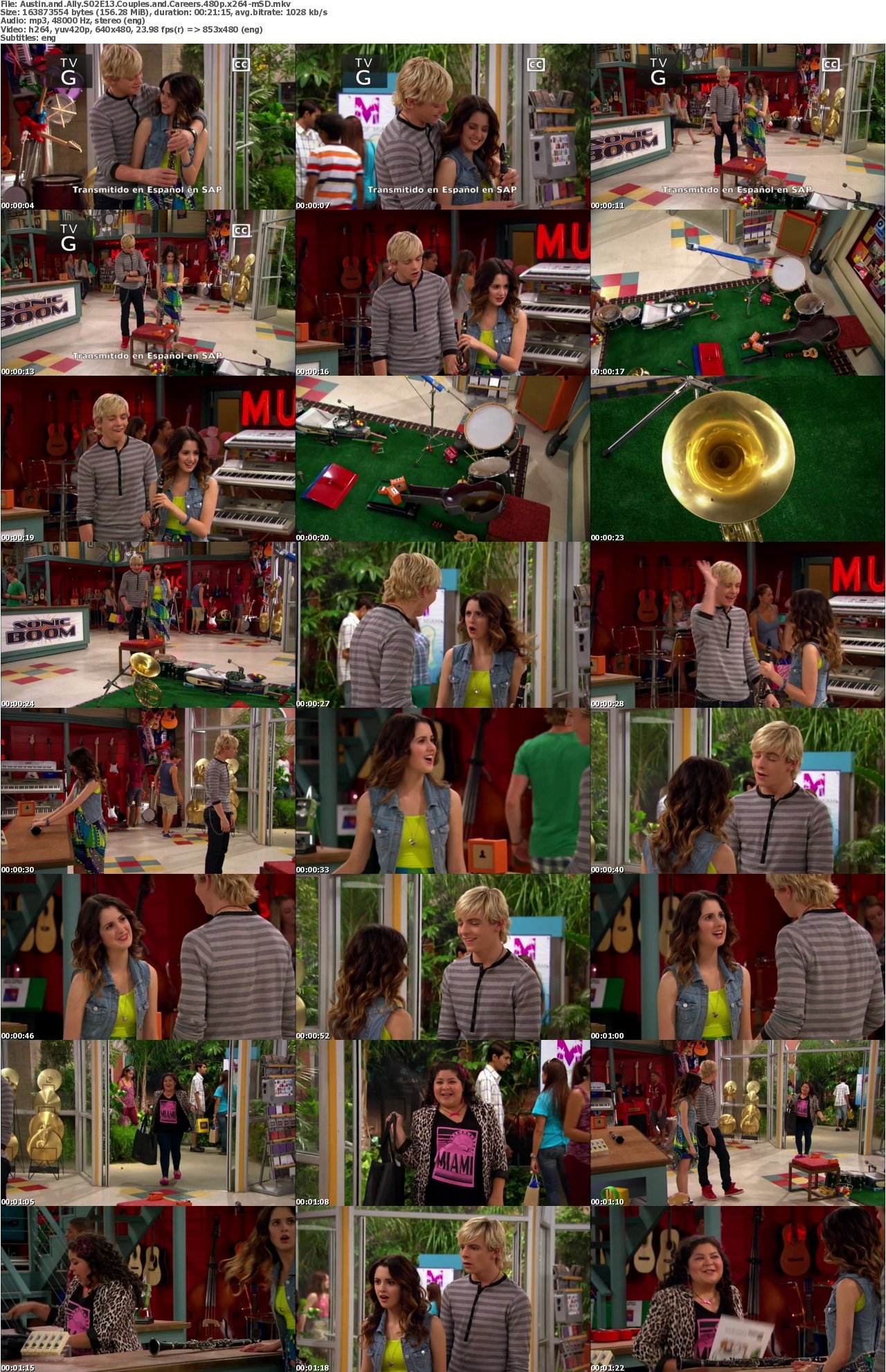 Austin and Ally S02E13 Couples and Careers 480p x264-mSD