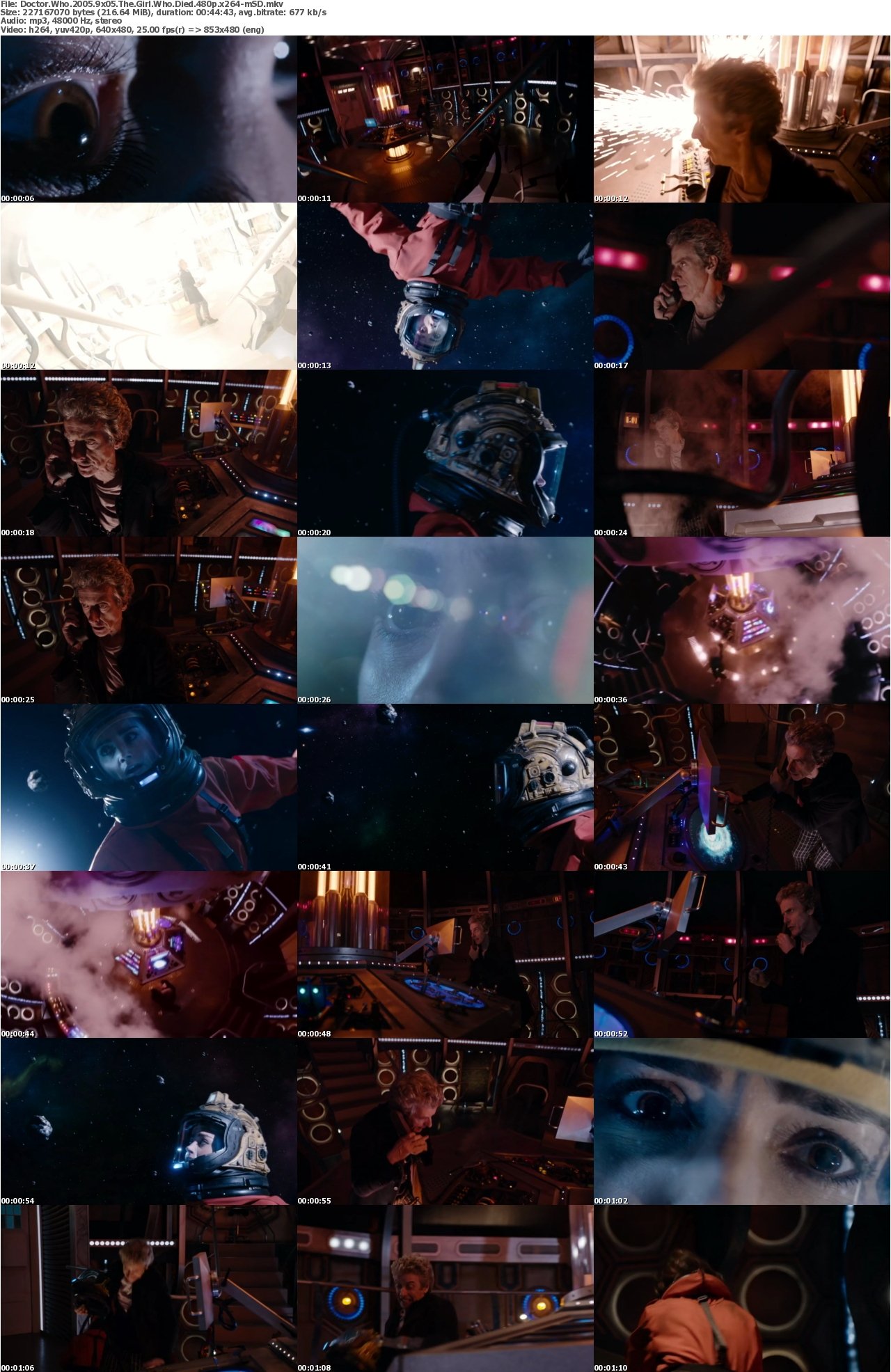 Doctor Who 2005 9x05 The Girl Who Died 480p x264-mSD