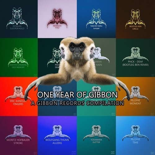 VA - One Year Of Gibbon Records (2015)