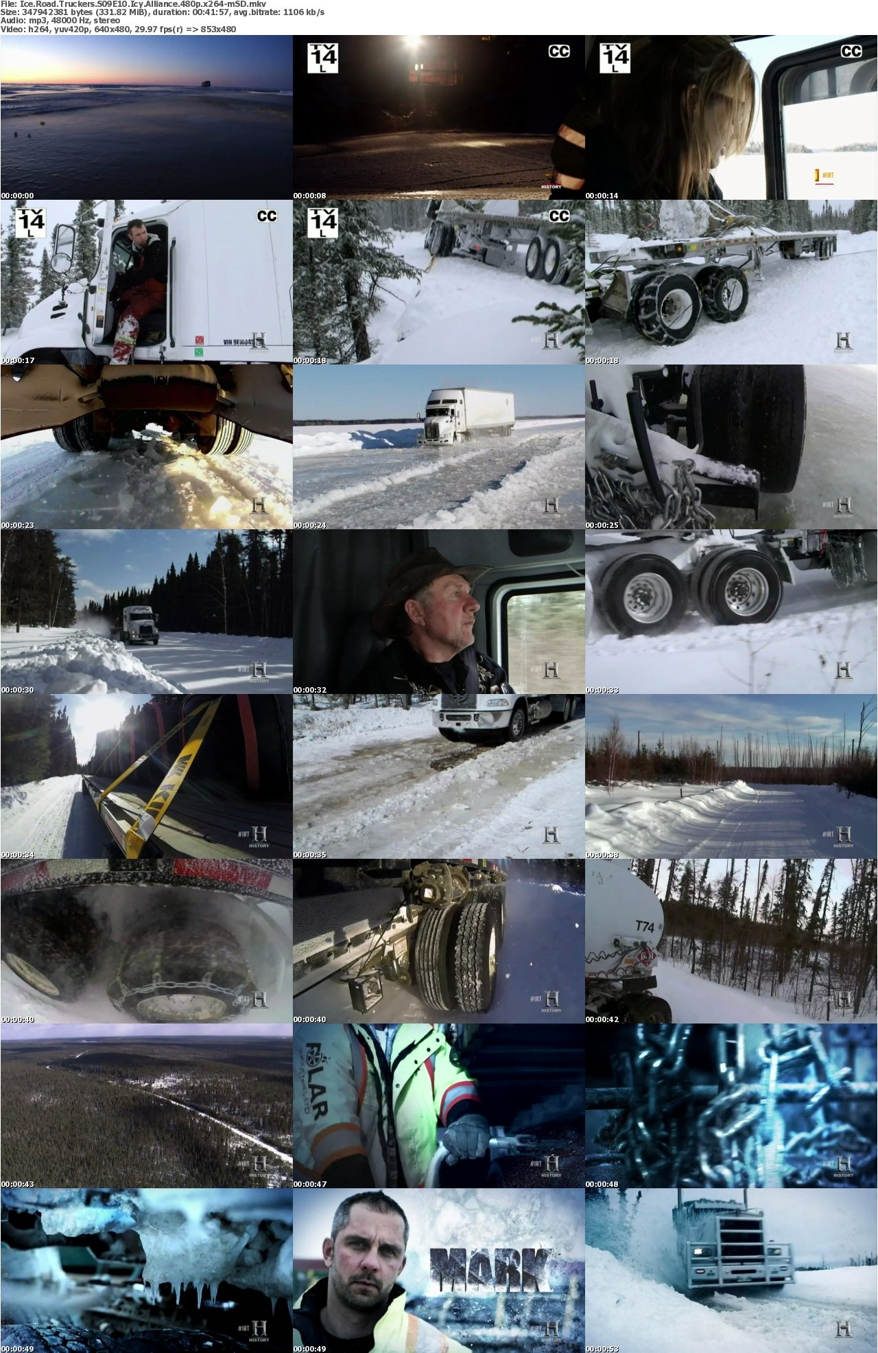 Ice Road Truckers S09E10 Icy Alliance 480p x264-mSD