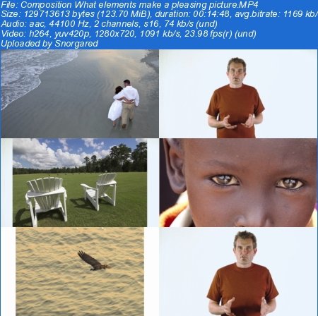 Learn Basic Photography from a World Renown Photographer