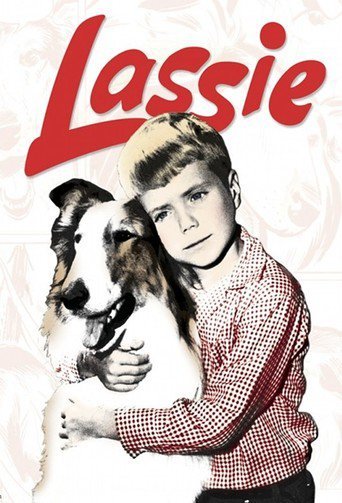 Lassie 2005 480p x264-mSD