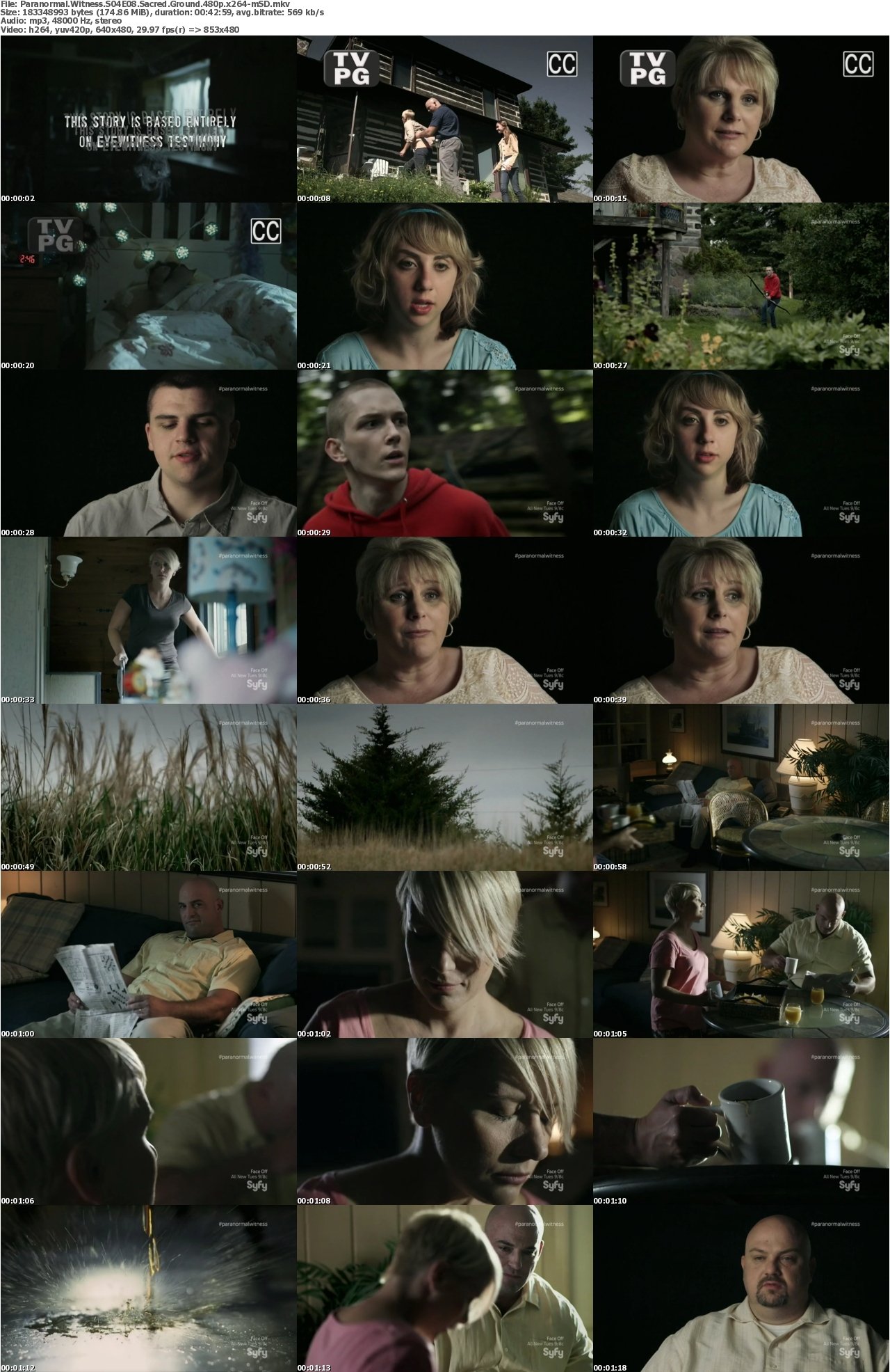 Paranormal Witness S04E08 Sacred Ground 480p x264-mSD