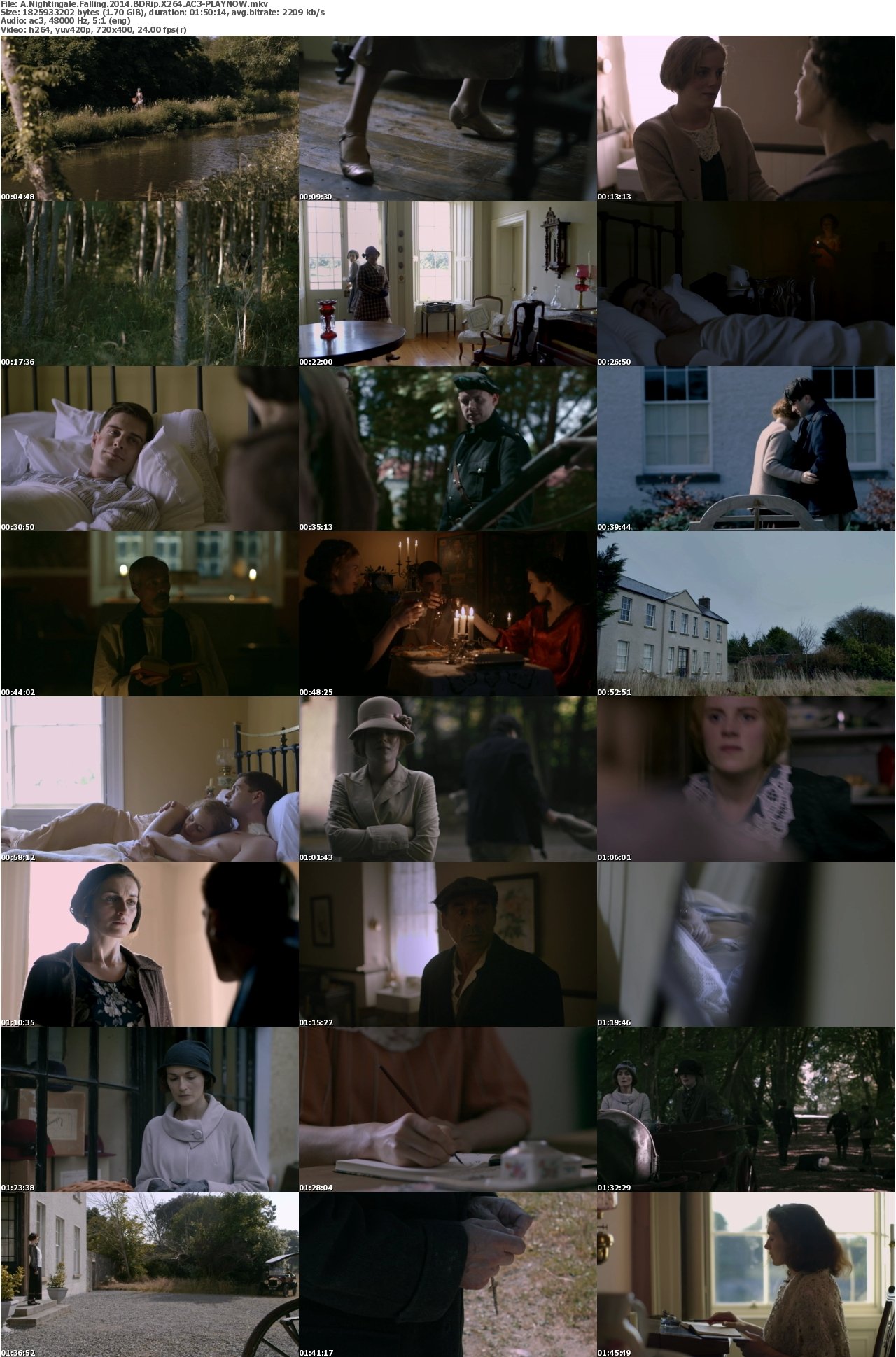 A Nightingale Falling 2014 BDRip X264 AC3-PLAYNOW