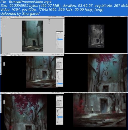 Gumroad - Tomcat Process