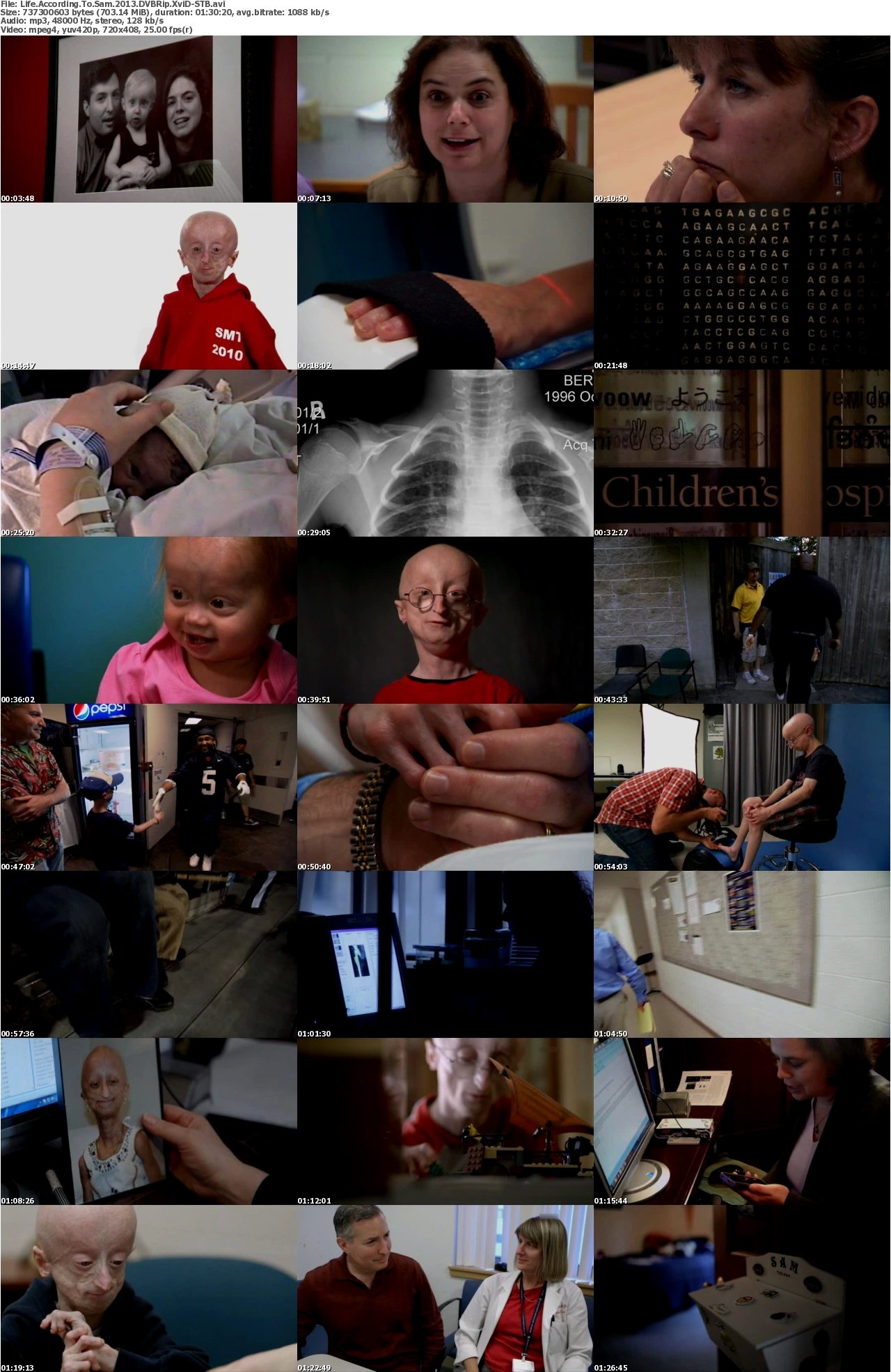 Life According To Sam 2013 DVBRip XviD-STB