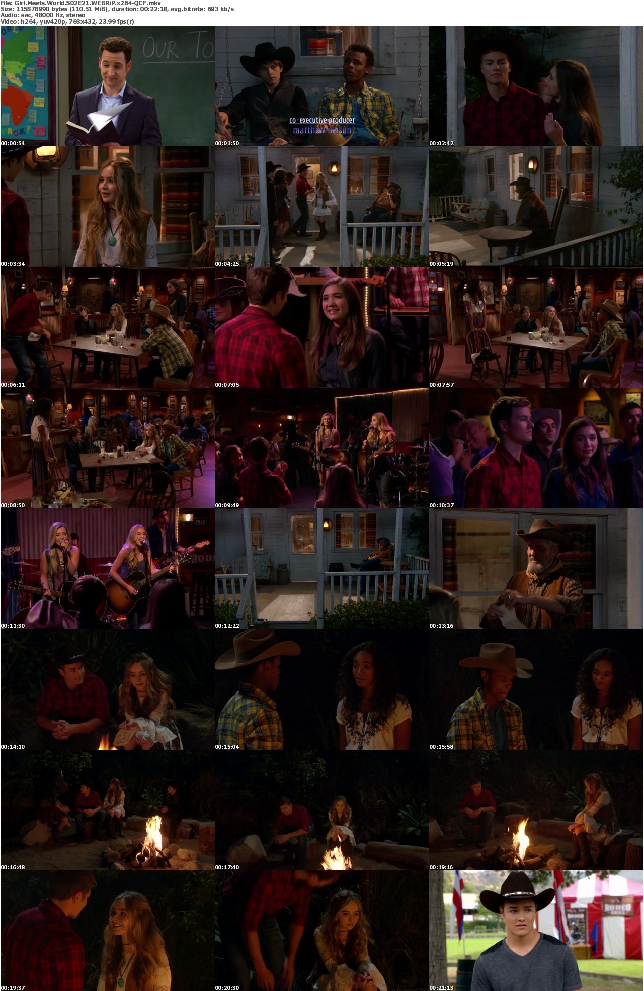 Girl Meets World S02E21 WEBRiP x264-QCF