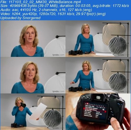 Up and Running with Lighting: Natural Light (HD Videos)
