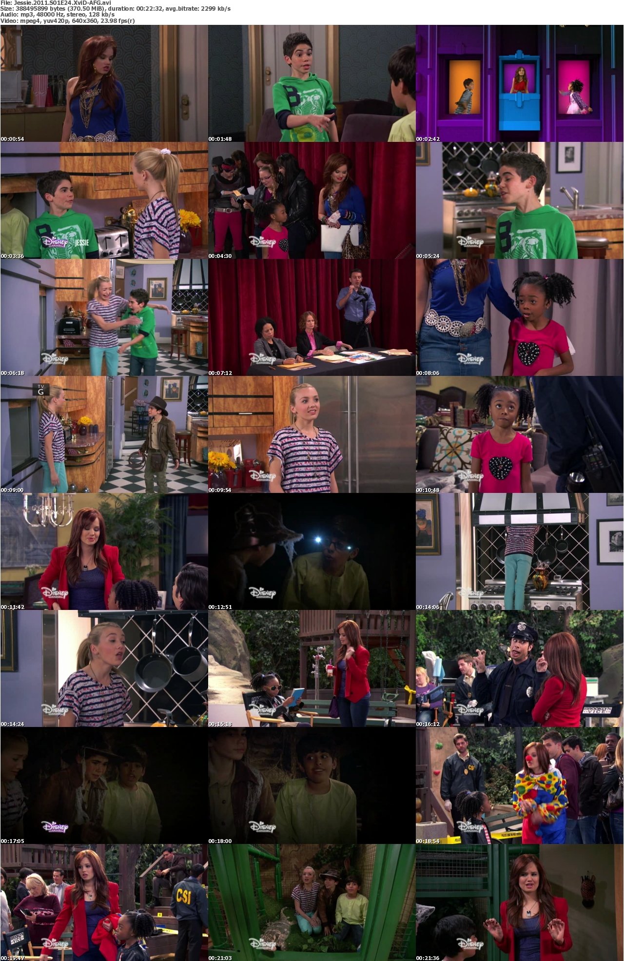 Jessie 2011 S01E24 XviD-AFG