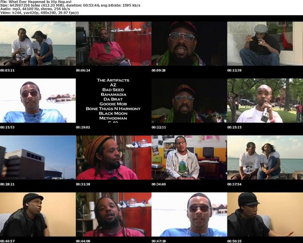 What Ever Happened to Hip Hop? (2009)