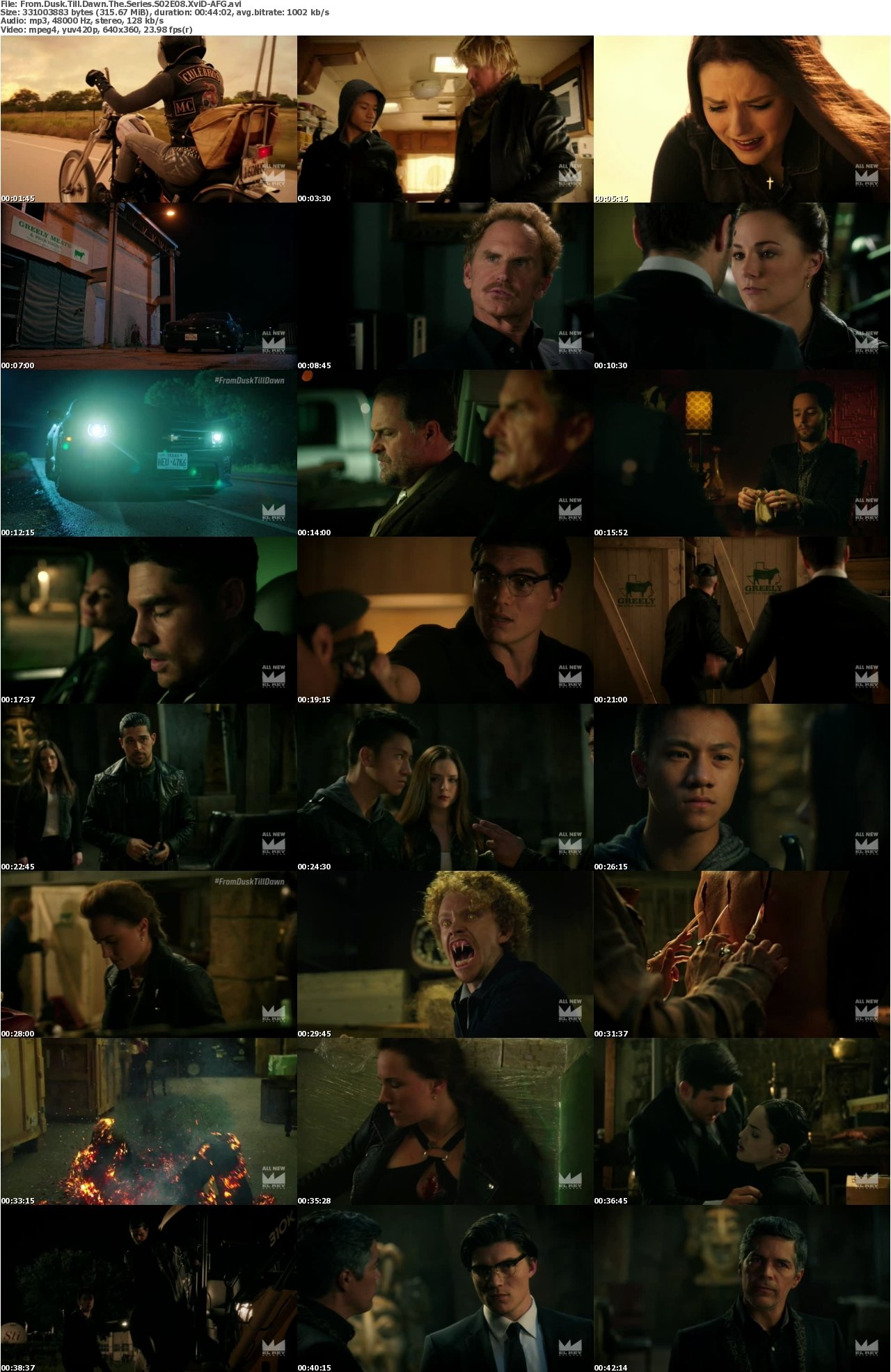From Dusk Till Dawn The Series S02E08 XviD-AFG
