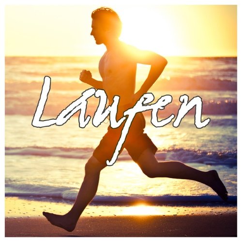 VA - Laufen (2015)