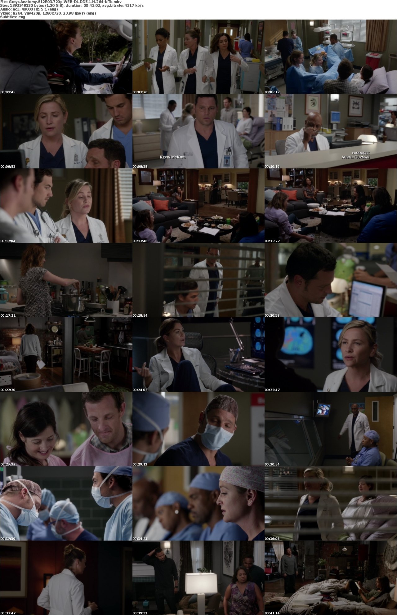 Greys Anatomy S12E03 720p WEB-DL DD5 1 H 264-NTb