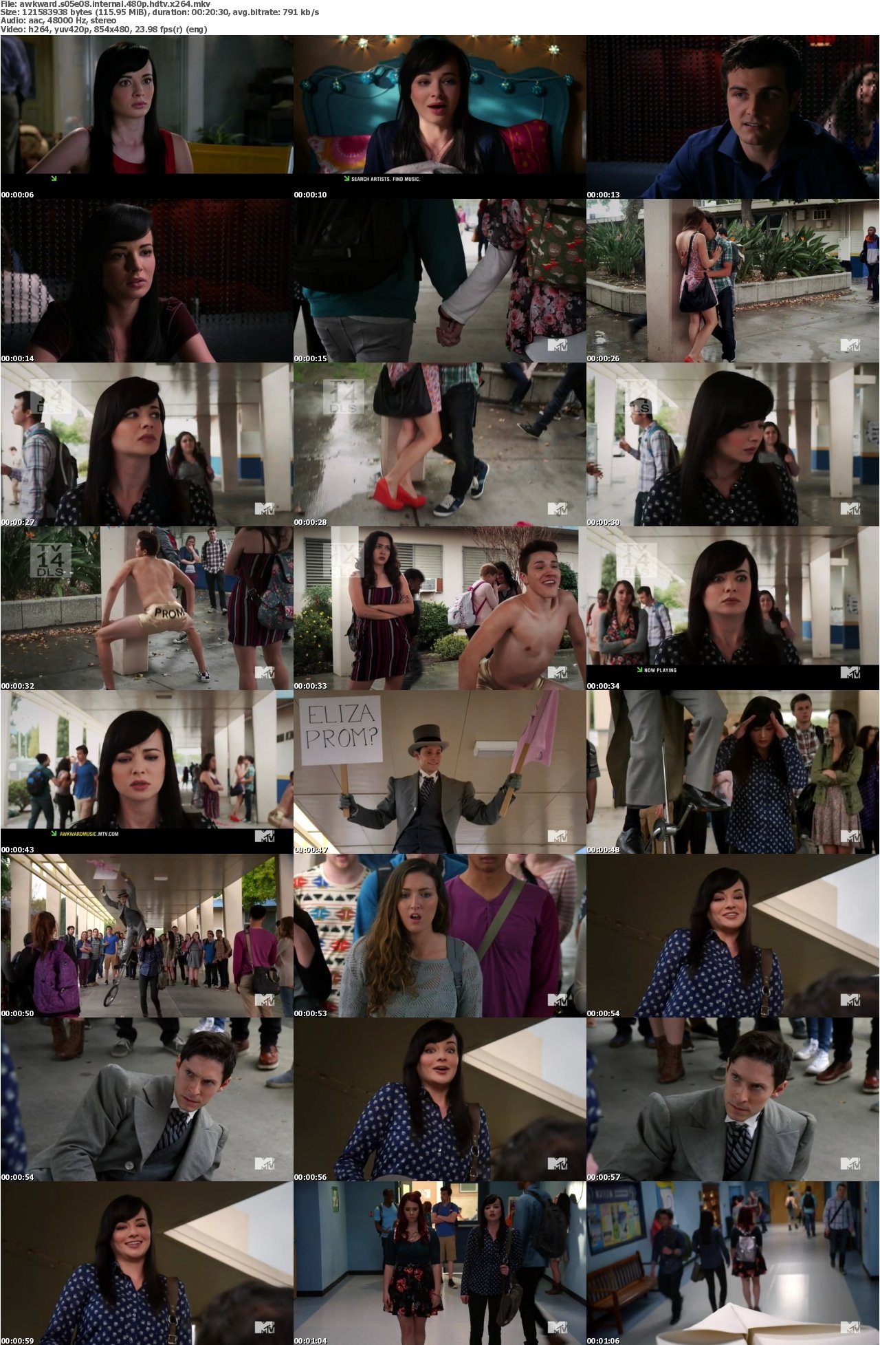Awkward S05E08 INTERNAL 480p HDTV x264